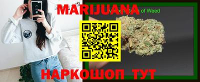гидропоника Вязьма