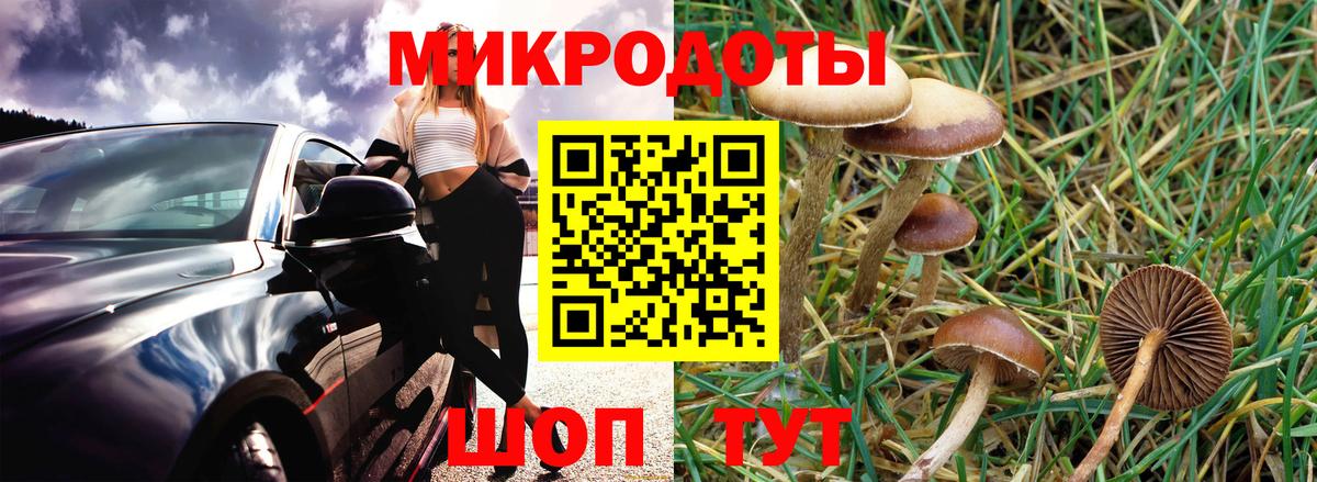 Галлюциногенные грибы GOLDEN TEACHER  Вход с VPN  Дедовск 